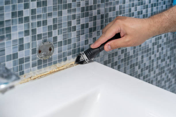 Best Mold Testing and Inspection Services in Spencer, WV